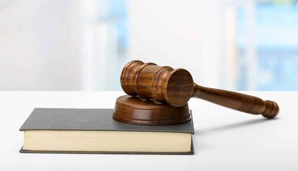Les principales raisons de faire des études de droit !