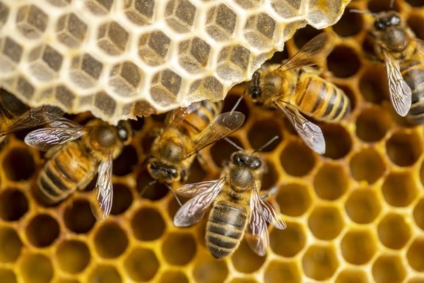 Comment développer un fort esprit d’équipe dans son entreprise ?